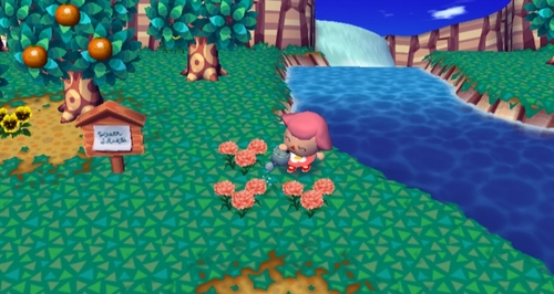 Animal Crossing: City Folk Screenshot