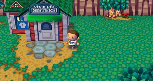 Animal Crossing: City Folk Screenshot