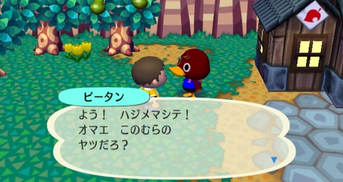 Animal Crossing: City Folk Screenshot