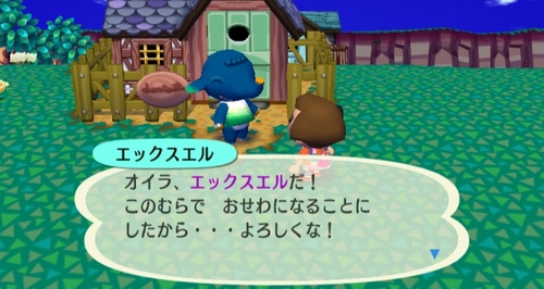 Animal Crossing: City Folk Screenshot