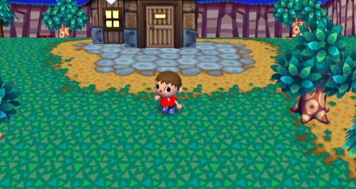 Animal Crossing: City Folk Screenshot