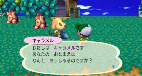 Animal Crossing: City Folk Screenshot