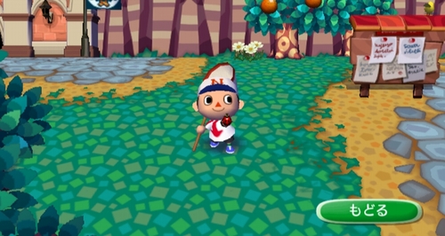 Animal Crossing: City Folk Screenshot
