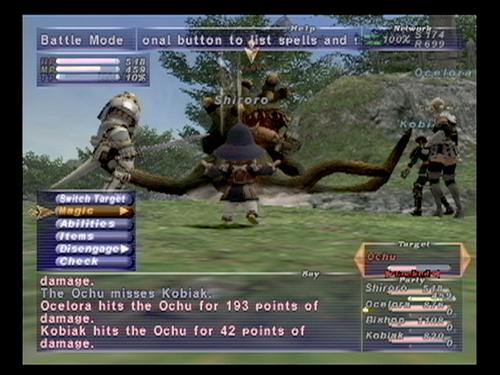 Final Fantasy XI Online Screenshot