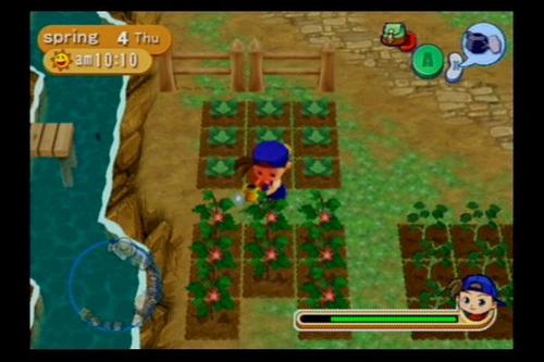 Harvest Moon: Magical Melody Screenshot