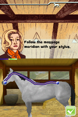 my horse and me ds