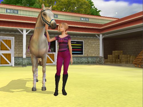 my horse and me 2 game