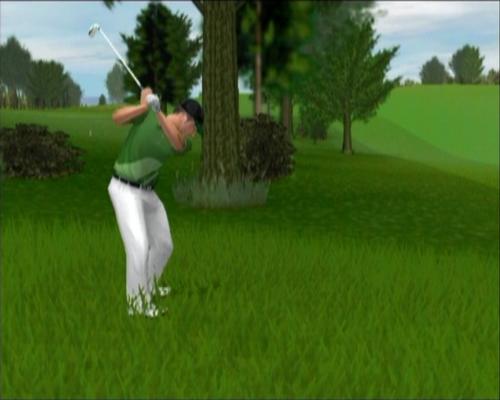 Real World Golf screenshot