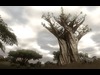 Far Cry 2 Screenshot