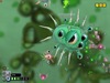 Spore Screenshot