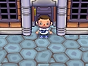 Animal Crossing: City Folk Screenshot