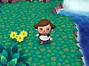 Animal Crossing: City Folk Screenshot