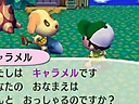 Animal Crossing: City Folk Screenshot
