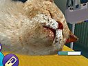Pet Pals Animal Doctor Screenshot
